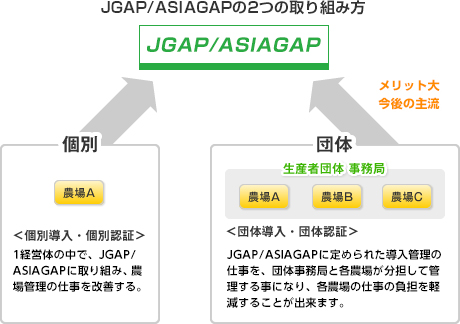 一般社団法人日本能率協会審査登録センターは2016年3月31日よりJGAPに認証機関として認定を受けました。